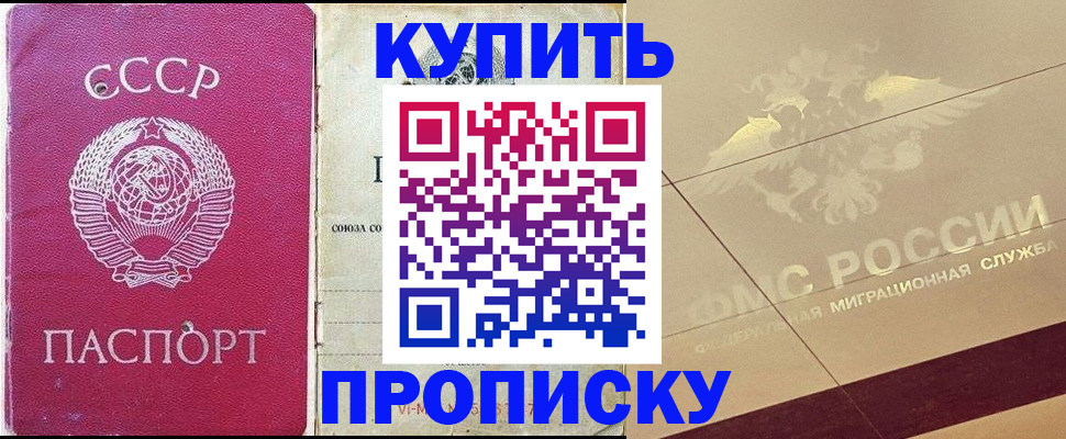 прописка для школы в Волоколамске
